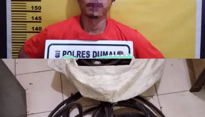 Aksi Pencurian Kabel PJU Terhenti Berkat Kepedulian Warga, Seorang Pria Diamankan