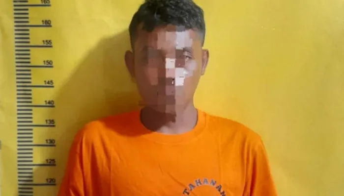 Mantan Pekerja Gudang Gelapkan Aset Majikan, Dijual Lewat Facebook
