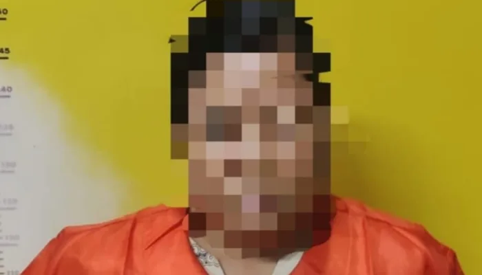 Janjikan Aplikasi Tiket Kapal, Perempuan di Dumai Tipu Korban hingga Rp450 Juta
