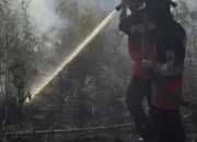 Hari Ini Hotspot di Riau 9 Titik, BMKG Sebut Cuaca Masih Kondusif Tanpa Peringatan Dini