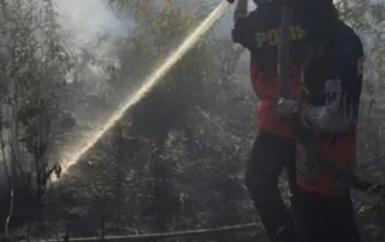 Hari Ini Hotspot di Riau 9 Titik, BMKG Sebut Cuaca Masih Kondusif Tanpa Peringatan Dini