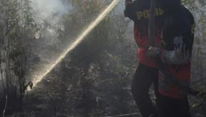 Hari Ini Hotspot di Riau 9 Titik, BMKG Sebut Cuaca Masih Kondusif Tanpa Peringatan Dini
