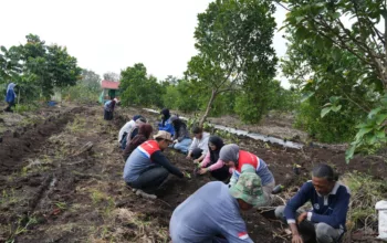 Dari Lahan Bekas Karhutla, Pertamina Patra Niaga Kilang Dumai Tumbuhkan Harapan Lewat Kopi Gambut
