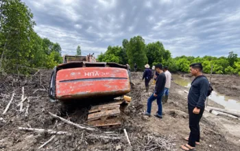 111,77 Hektare Mangrove Dumai Dirambah, Polda Riau Sita Ekskavator dan Tetapkan Tersangka