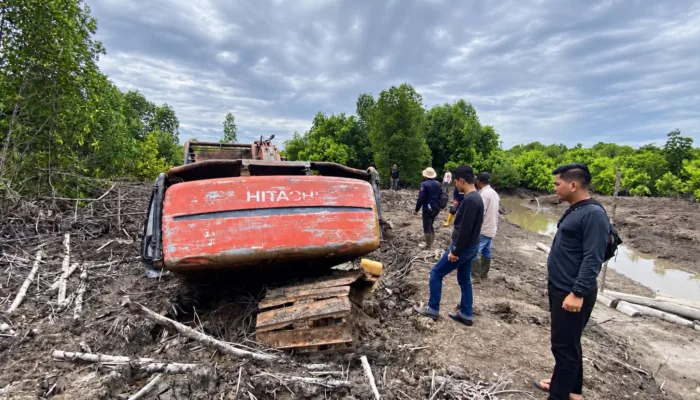 111,77 Hektare Mangrove Dumai Dirambah, Polda Riau Sita Ekskavator dan Tetapkan Tersangka
