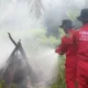 Gambut Lestari Alam Menghidupi, Pertamina Patra Niaga Sungai Pakning Terbaik di Ajang CSR Internasional