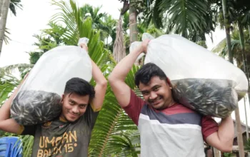 Dari Kolam Patin, Tunas Mandiri Menumbuhkan Harapan Ekonomi Berkelanjutan