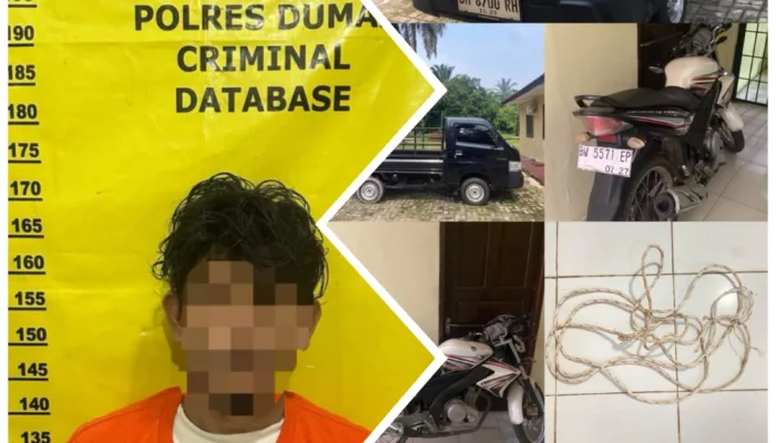 Kepergok Angkut Sapi, Pelaku Kabur Tinggalkan Mobil Pick Up