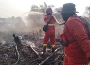 65 Orang Jadi Tersangka Karhutla di Riau Sepanjang 2026