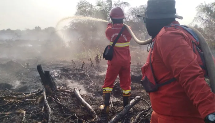 65 Orang Jadi Tersangka Karhutla di Riau Sepanjang 2026