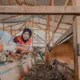 Dari Kandang Sapi ke Kebun Terong, Cara PHR Mengenalkan Alam kepada Anak-Anak